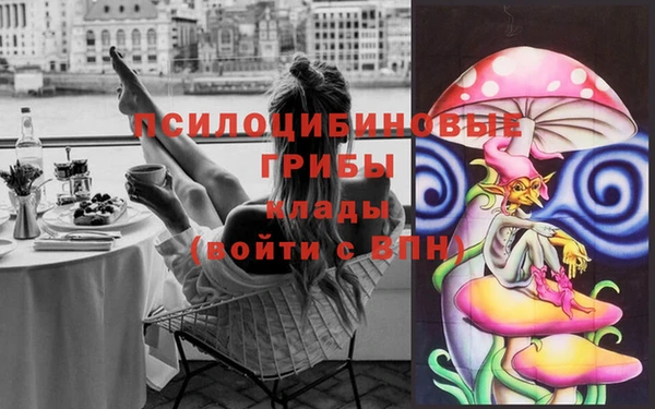 соль ск Верея