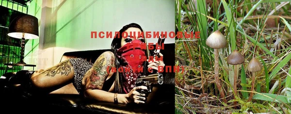прущий лед Верхний Тагил